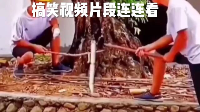 搞笑视频连连看