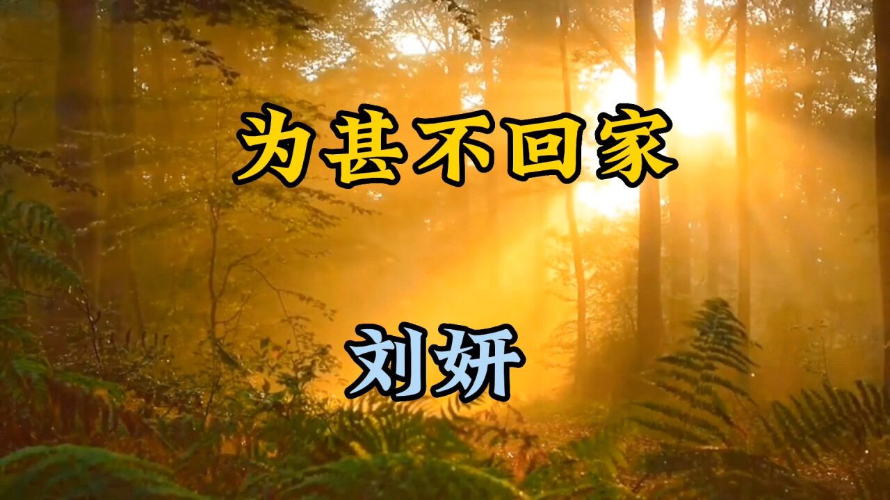 刘妍演唱的陕北民歌《为甚不回家》有着浓厚的地方风味