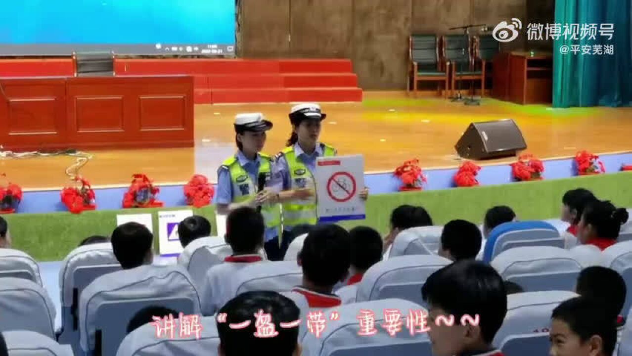 安全知识进校园 平安出行牢记心