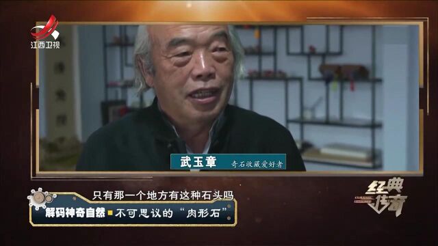 老人收藏了几千块肉形石,有一块石头和“国宝”神似