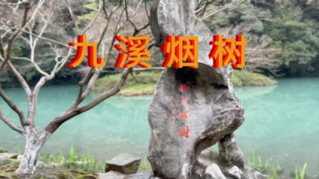 杭州“九溪烟树”美景