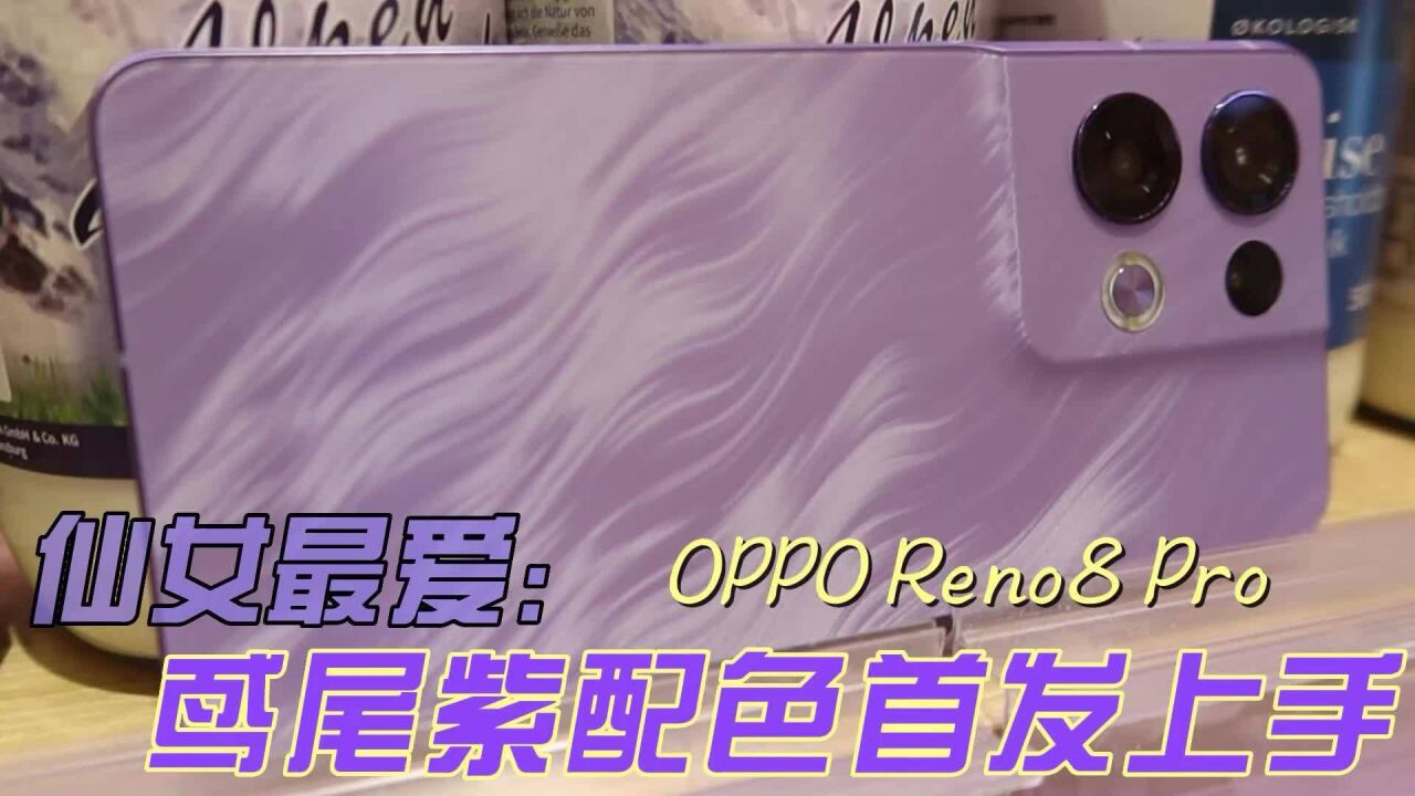 Reno8 Pro鸢尾紫首发上手,比iPhone 14紫的更好看