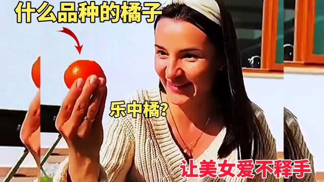 什么品牌的橘子,让美女爱不释手