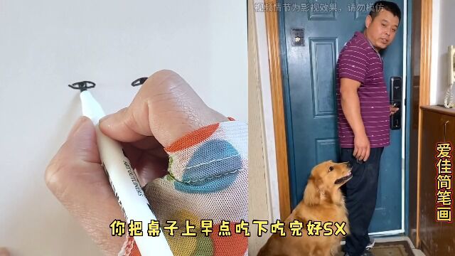 爱佳简笔画:父爱到底有多伟大,金毛暖心的一幕,网友:扎心了