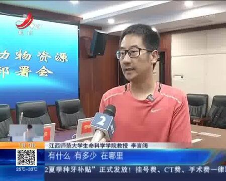 南昌:首次!对全市陆生野生动物资源“摸清家底”