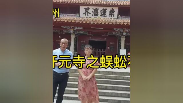 开元寺蜈蚣石