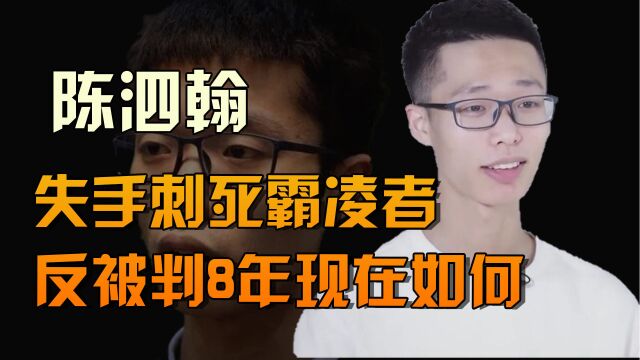 陈泗翰:15岁失手刺死校园霸凌者,反被判8年,出狱后做了律师