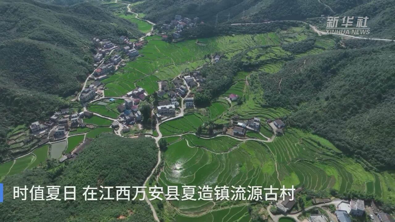 江西万安:乡村风景美如画