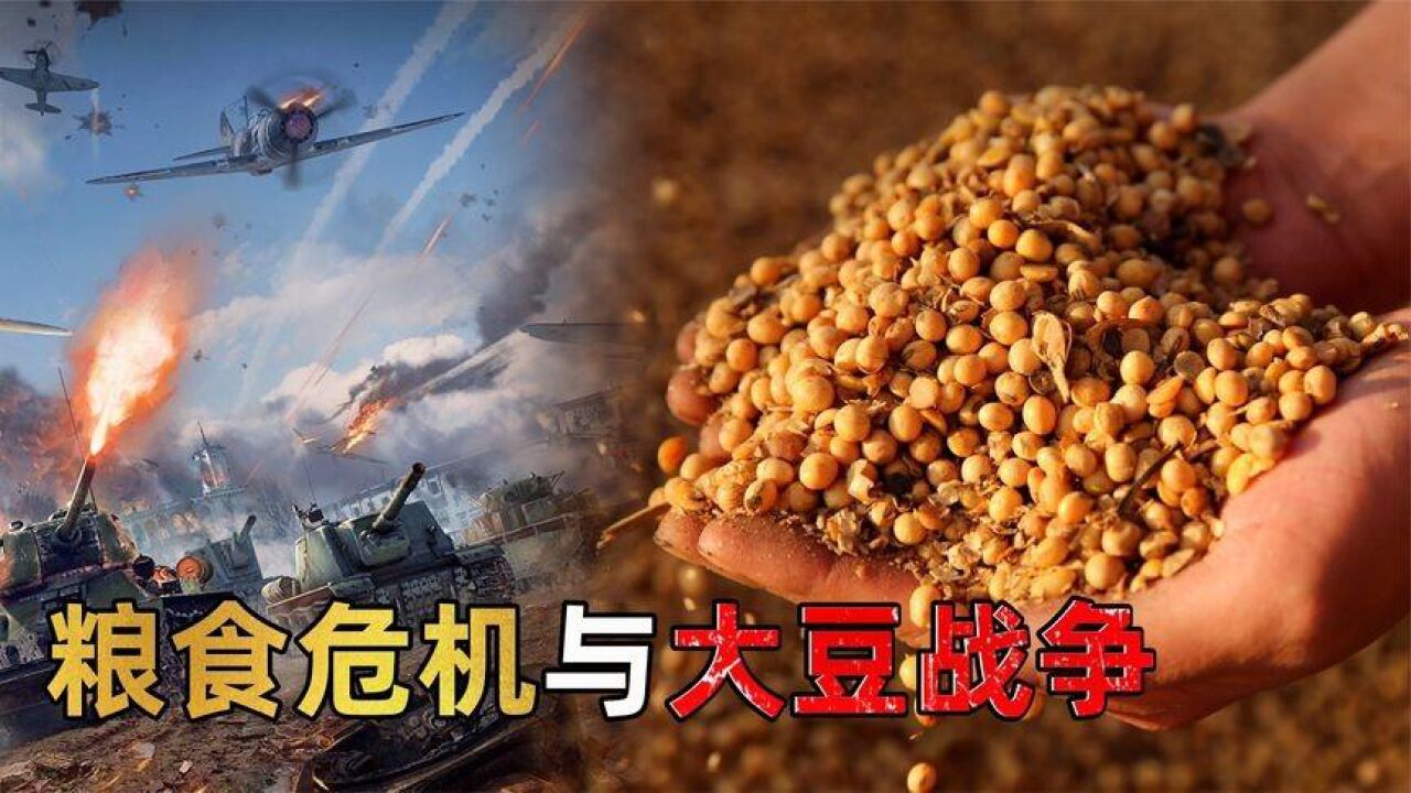 大豆战争-大豆起源于中国,为何现在80_靠进口?