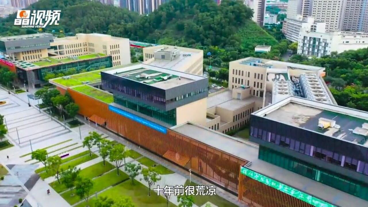 港中大(深圳)校长徐扬生谈好大学怎么办