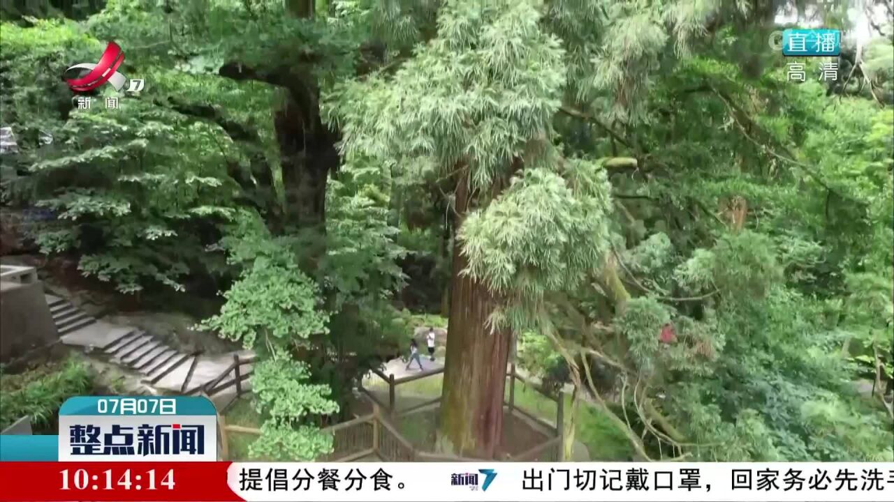 庐山:亲水富氧避暑游受青睐