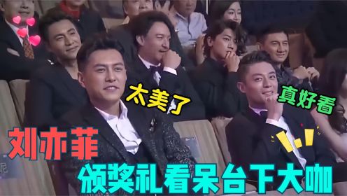 33岁的刘亦菲有多迷人？出席颁奖典礼如同走秀，看呆台下一众大咖