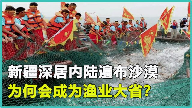 新疆深居内陆遍布沙漠,却是我国的渔业大省,鱼都是从哪来的?