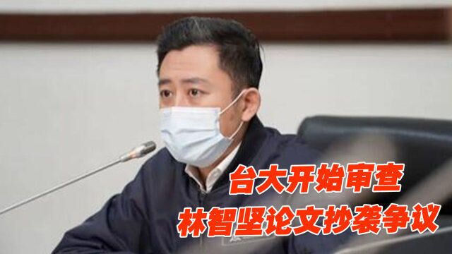 台大开始审查林智坚论文抄袭争议,当事人却跑选举行程不出席