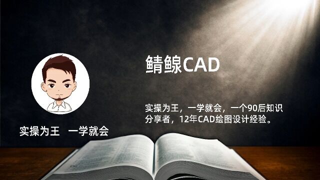 CAD中如何一次标注多个半径操作视频教程