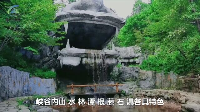 金顶山地质公园给你一场不一样的避暑之旅!