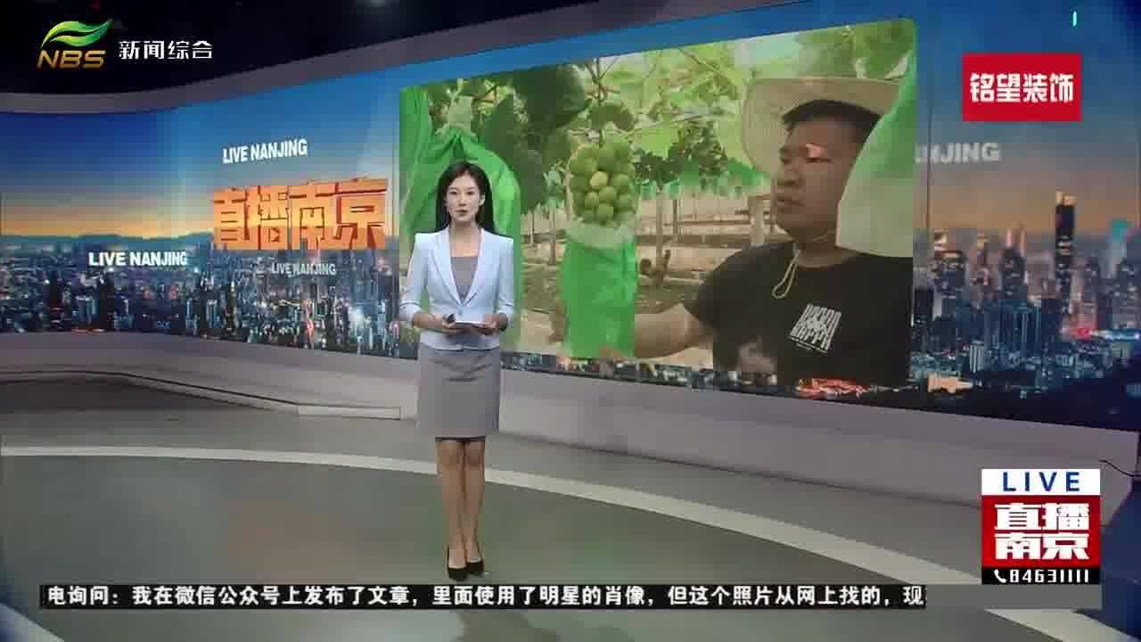 南京好人 周诚:愿更多的年轻人可以回乡创业