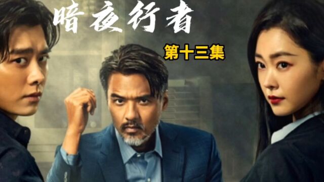 最好看的悬疑缉毒警匪剧李易峰宋轶领衔主演《暗夜行者》