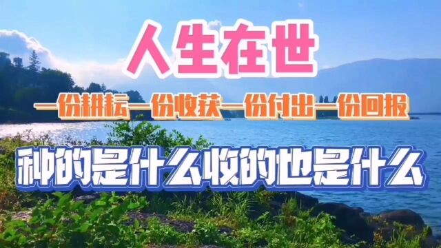 人生在世,一份耕耘一份收获一份付出一份回报,种的是什么收的也是什么