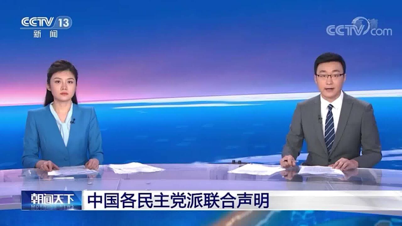 中国各民主党派联合声明