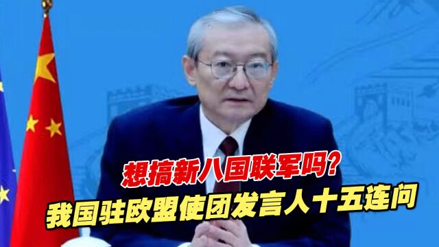 想搞新八国联军吗?我国驻欧盟使团发言人十五连问