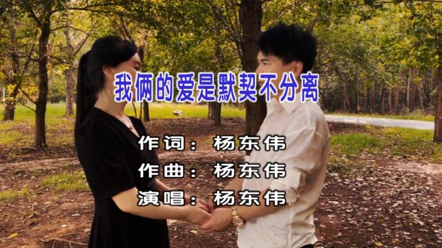 杨东伟演唱歌曲《我俩的爱是默契不分离》KTV版