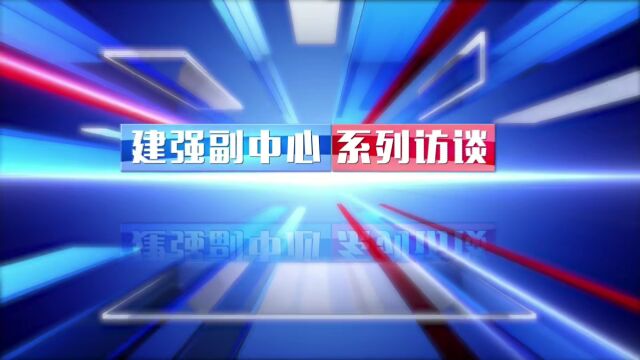 建强副中心系列访谈:南阳市重点项目建设促进中心党组书记 主任 马林