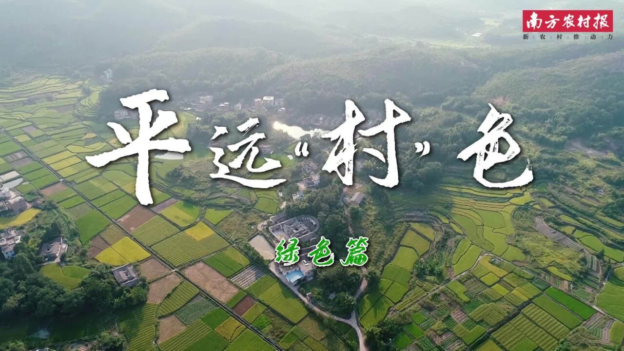 《平远“村”色——绿》这里有你向往的诗和远方