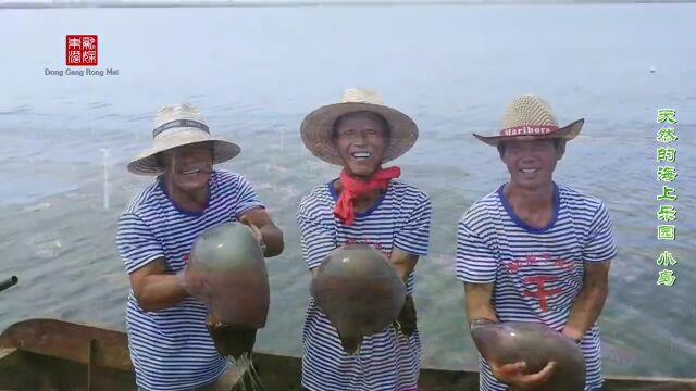 美丽辽宁 | 夏日海岛好风光 碧海蓝天迎客来