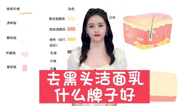 去黑头洁面乳什么牌子好