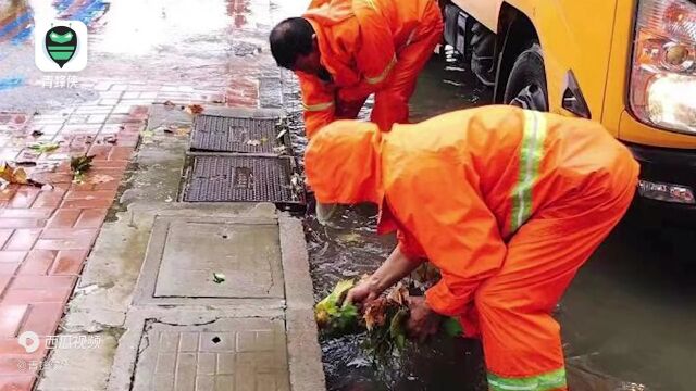 石家庄暴雨城区内涝多路断交 街道行车如行船,桥洞秒变\