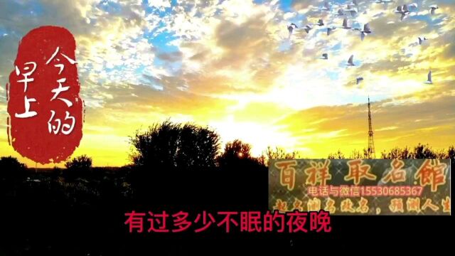 今天的早上