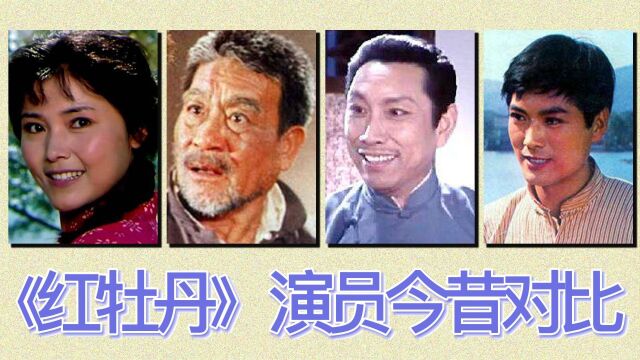 《红牡丹》演员今昔对比,一首《牡丹之歌》红遍大江南北