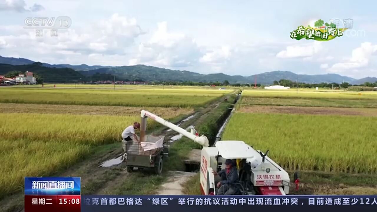 在希望的田野上 | 航拍各地田园丰收美景