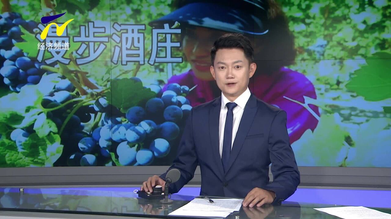 【漫步酒庄】贺东庄园:紫色梦想北纬38度