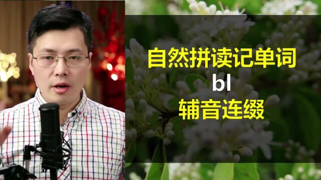 自然拼读bl组合如何记单词?掌握辅音连缀方法,了解构词原理