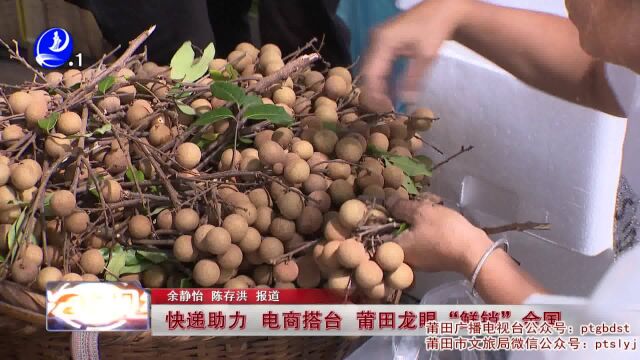 快递助力 电商搭台 莆田龙眼“鲜销”全国