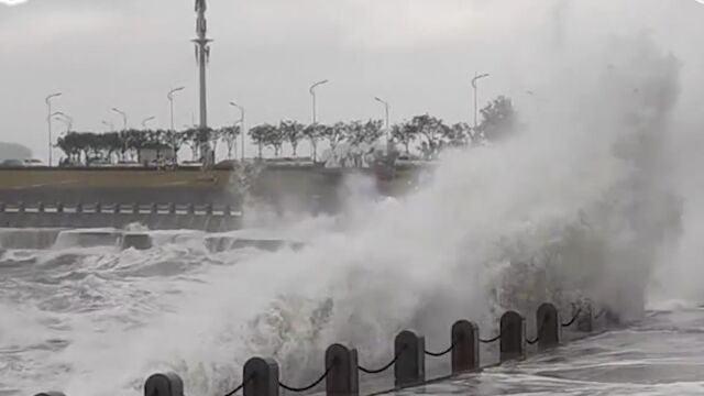 本世纪首登辽宁台风!“梅花”掀巨浪涌上大连街道部分路面积水