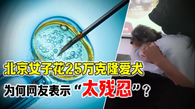 北京女子花25万克隆爱犬,原先小狗的记忆,能保留吗?