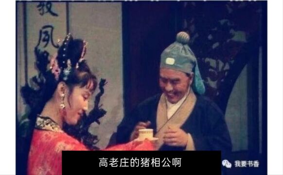 谁在误解高老庄?