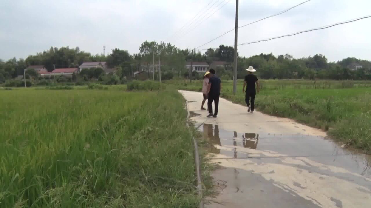 临澧响水村:分级提水灌田 “远水”解“近渴”