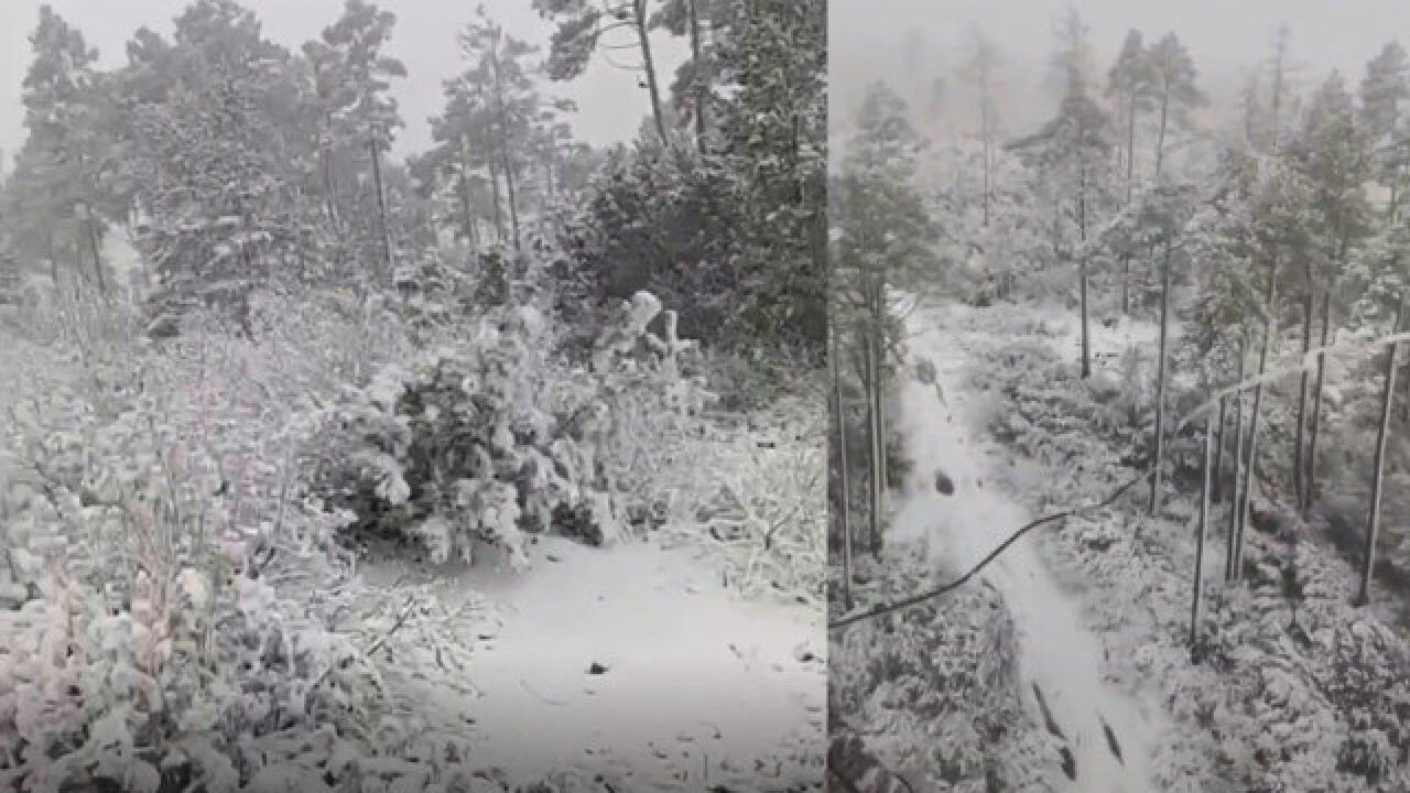 下雪啦!黑龙江大兴安岭迎来入秋后第一场雪 积雪厚度达15公分