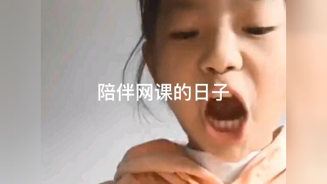 陪伴网课的日子