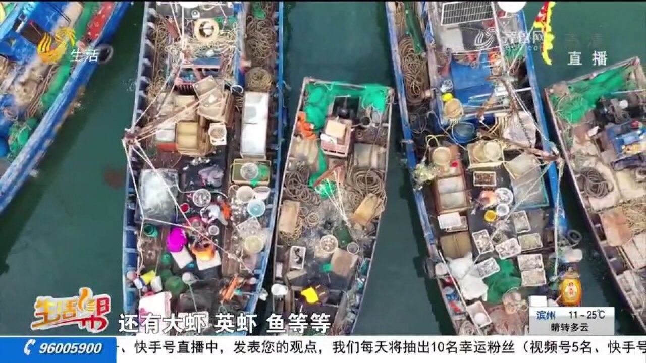 人气爆棚!长岛海上粮仓喜获丰收,海鲜刚上岸就被抢购一空