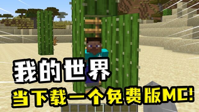 我的世界:玩家下载免费版MC,游戏不仅偷工减料,还有隐藏彩蛋?