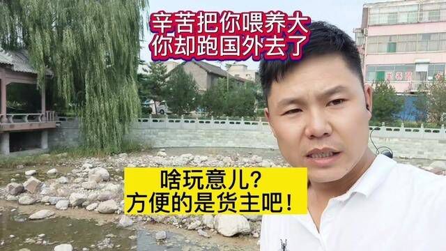 啥玩意儿?网络货运平台方便方便的是货主吧?也不是我们司机呀 #货运平台 #网络配货平台 #东北说卡车 #物流运输