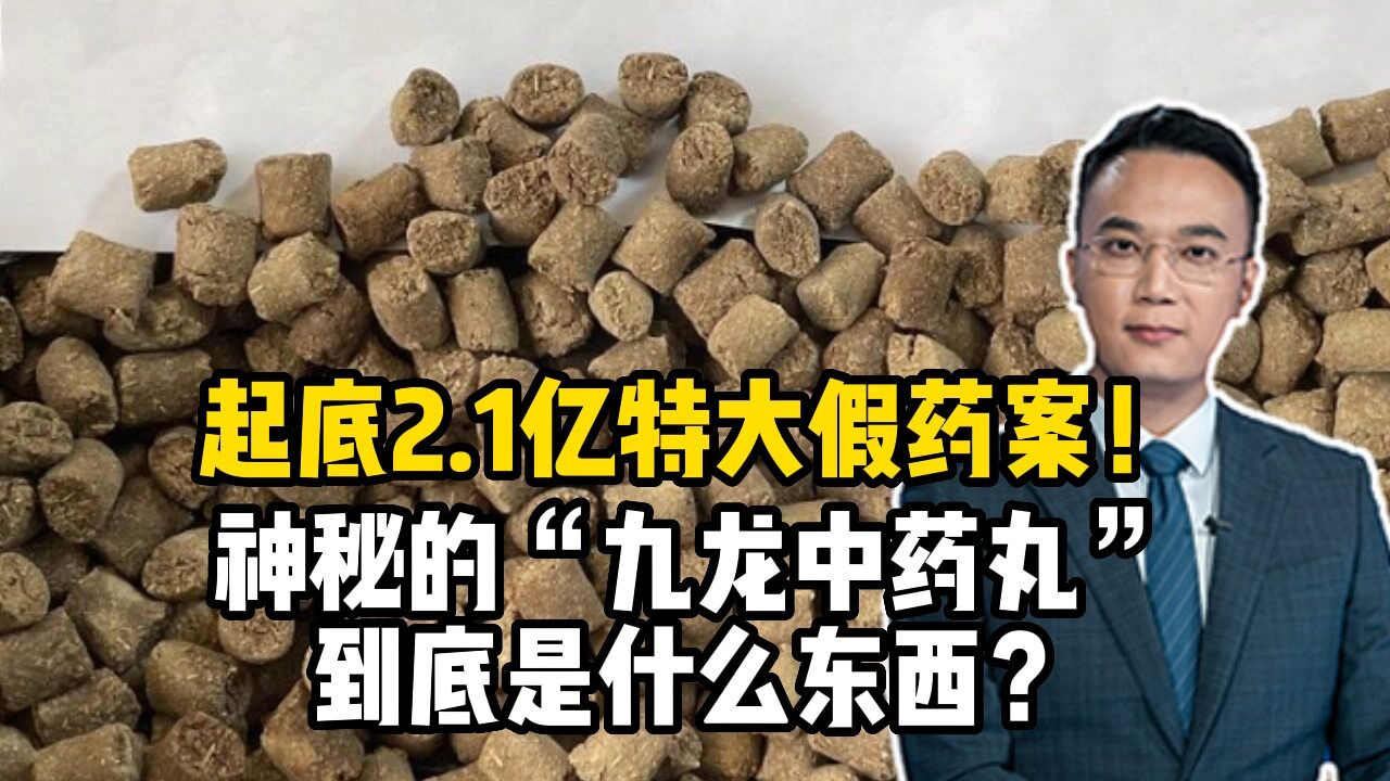 起底2.1亿特大假药案!神秘的“九龙中药丸”到底是什么东西?