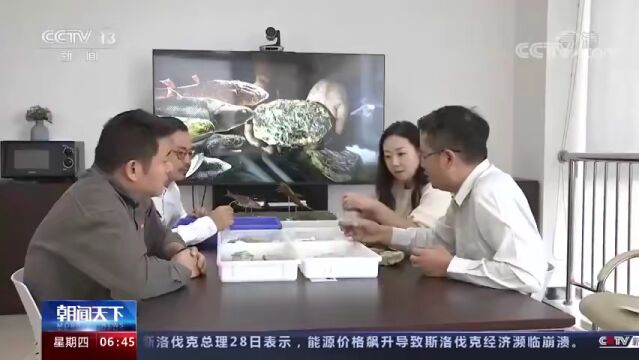 热搜第一,这一发现找到关键证据,网友坐不住了