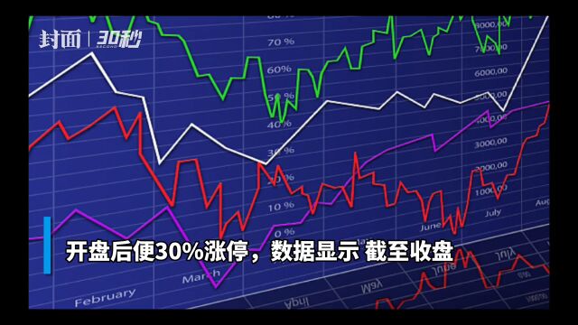 30秒|国泰君安临港创新产业园REIT上市一字涨停