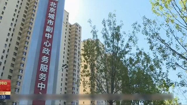 城市副中心26项政务服务事项实现“一照(证)通办”